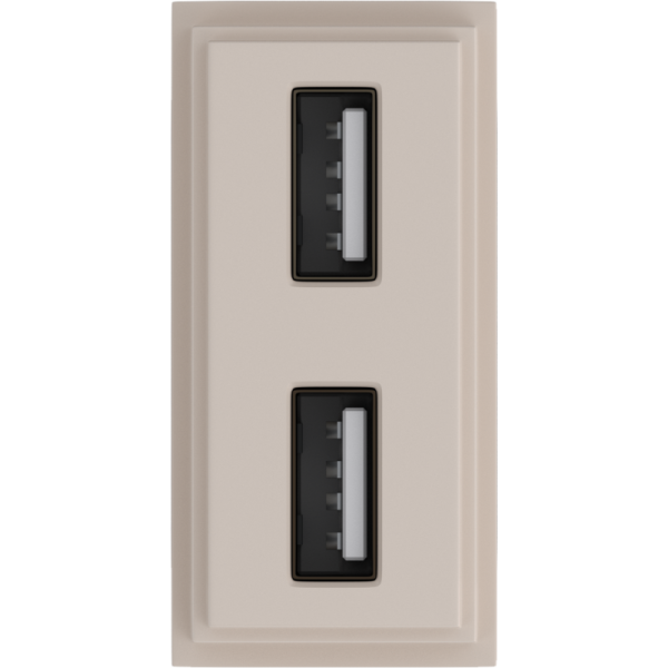 Зарядное устройство USB Стандарты А-А 5V 2100мА 1 модуль,  песочный