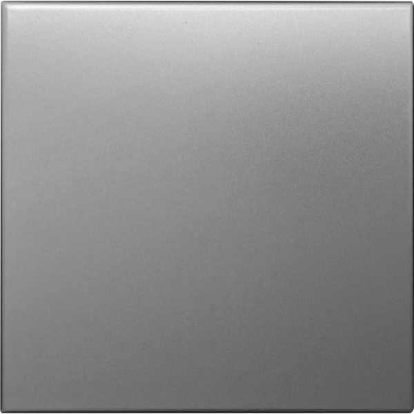 Заглушка,  благородная сталь,  серия R98 METAL