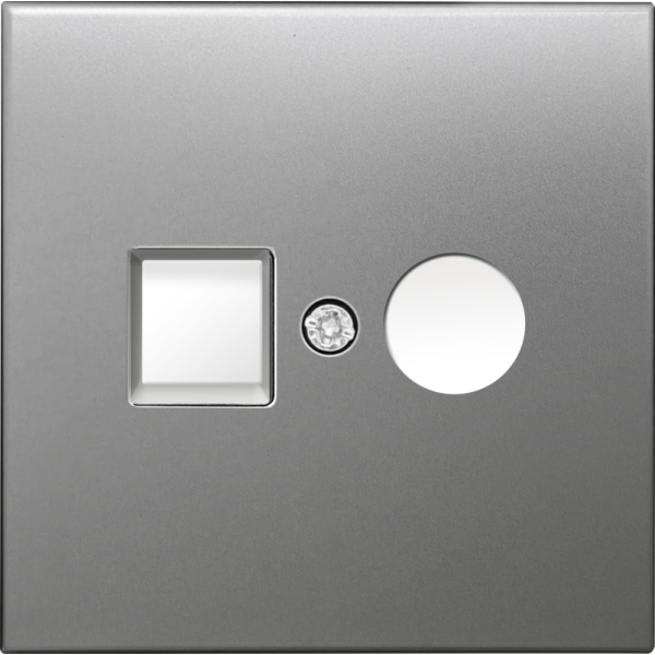 Накладка для розеток RJ45+SAT,  2-я,  благородная сталь,  серия R98 METAL