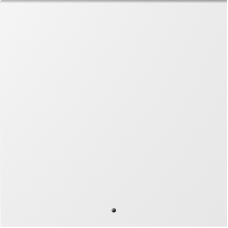 Клавиша 1-я с подсветкой,  матовый белый,  серия A07