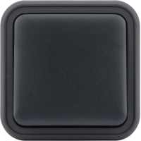 Выключатель звонкового типа 1-клавишный накладной,  цвет антрацит,  IP55,  серия W55