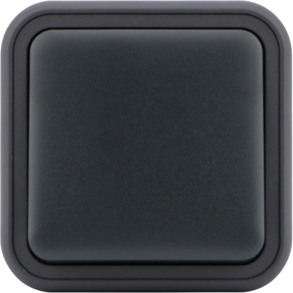 Выключатель звонкового типа 1-клавишный накладной,  цвет антрацит,  IP55,  серия W55