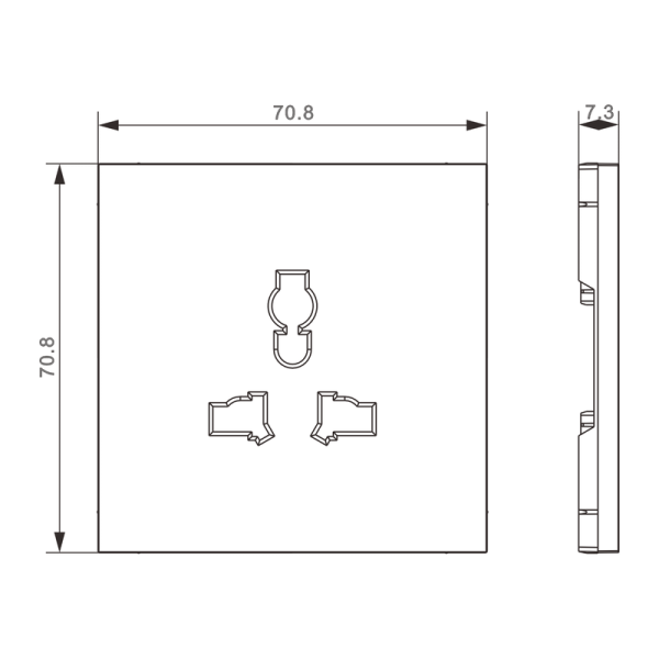 Накладка для  розетки мультистандарт,  со шторками 16A 250 В~,  сталь,  серия S08