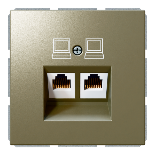Розетка двойная компьютерная RJ45 cat 5 с накладкой - FD (бронза), артикул FD6106BR