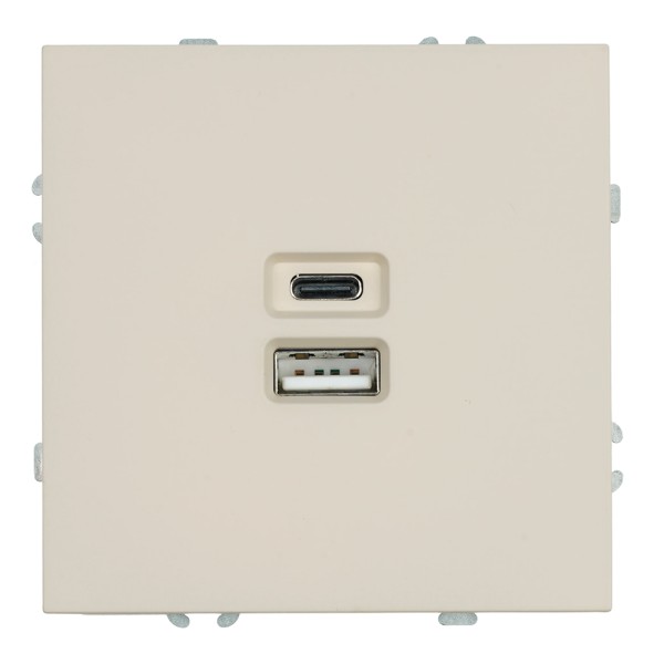 Розетка 2-местная USB + Type C (механизм), STEKKER, 250В, 20W, серия Эмили, RST10-5115-08, кашемир, soft touch 49905