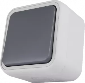 Серия W55